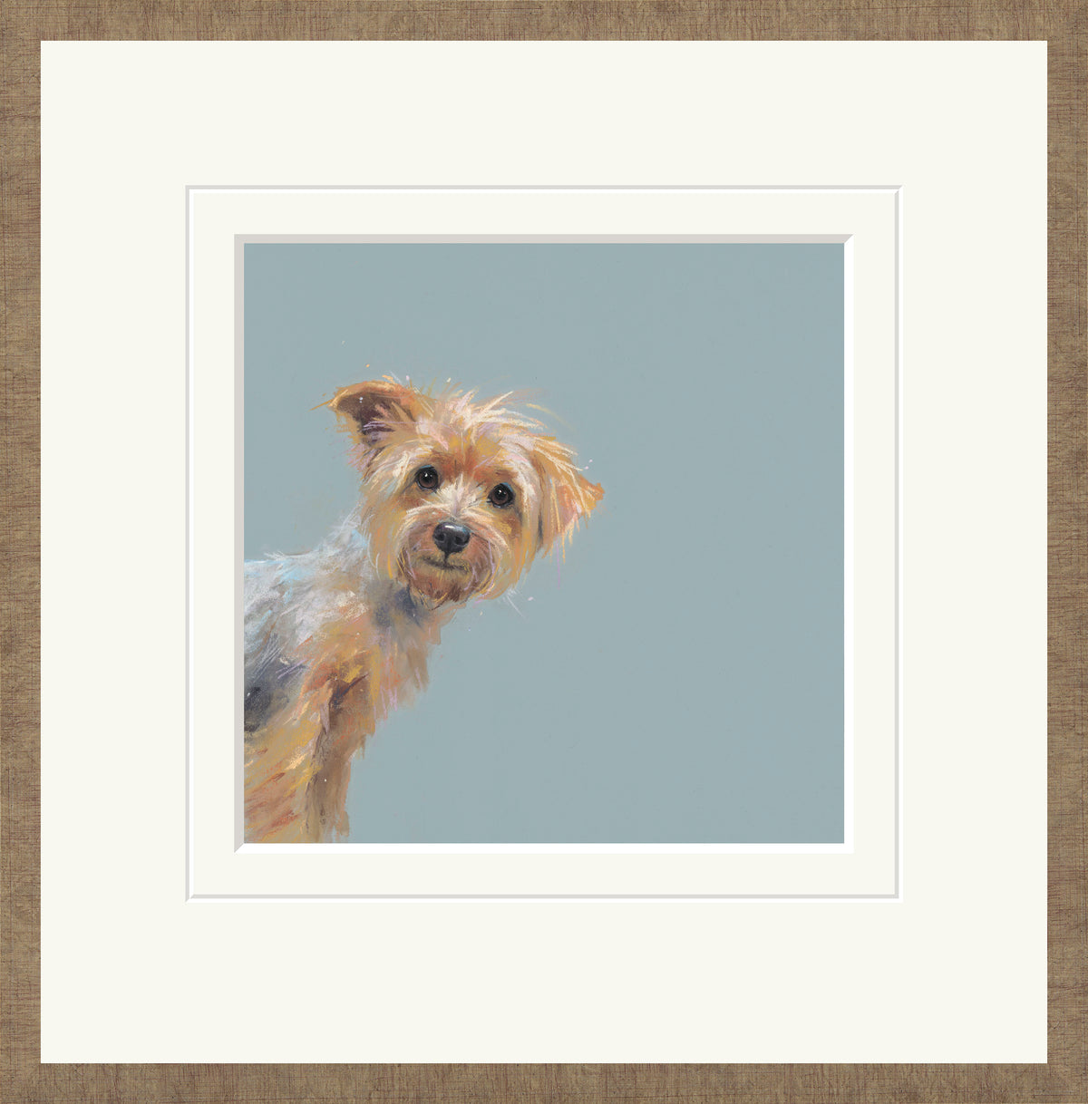 Yorkie by Nicky Litchfield