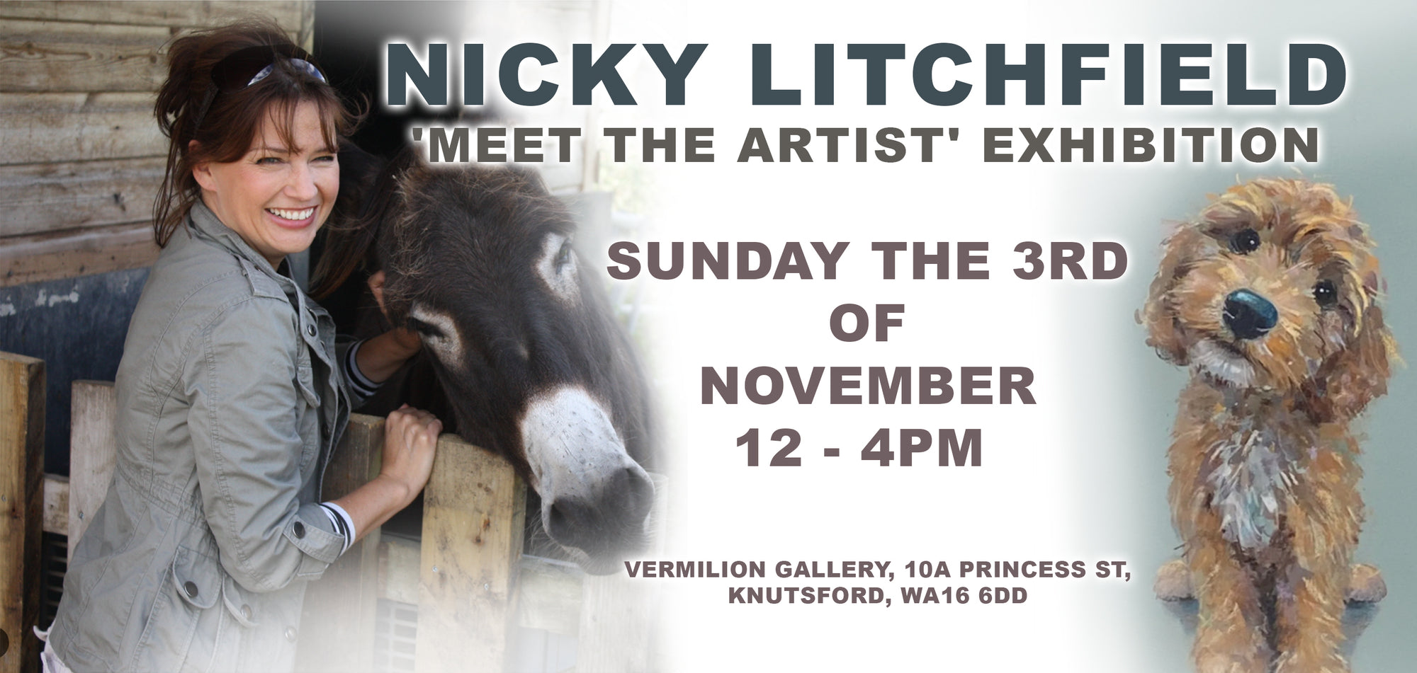 'Meet The Artist' Exhibition: Nicky Litchfield