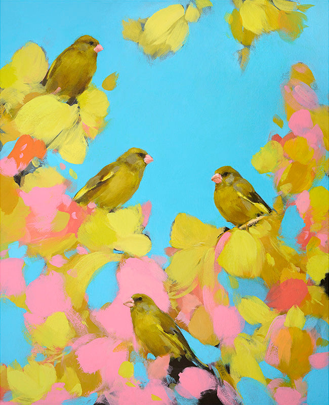 Greenfinches in pink