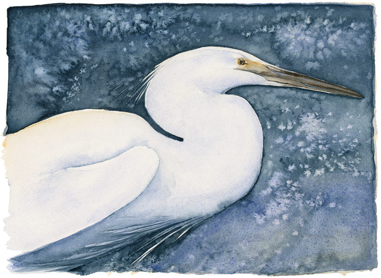 The Lost Spells: Little Egret