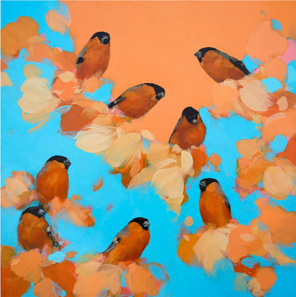 Bullfinches in orange and blue