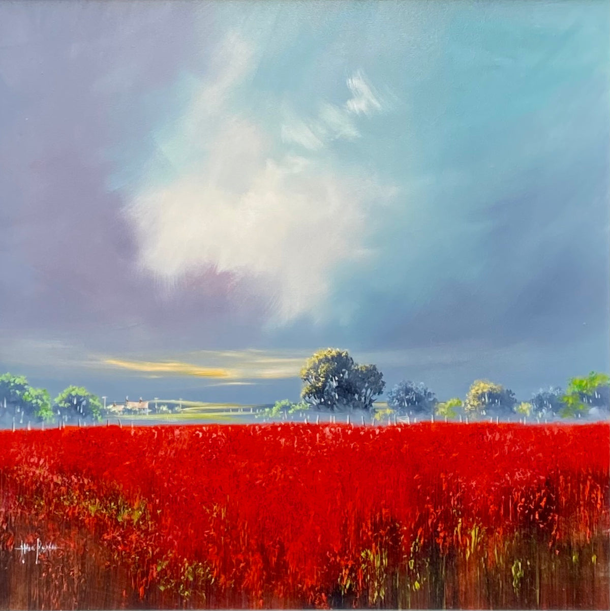 A stunning changing sky with strong contrasts of light and dark as the blue breaks through and with a bold, vivid red field in the foreground.