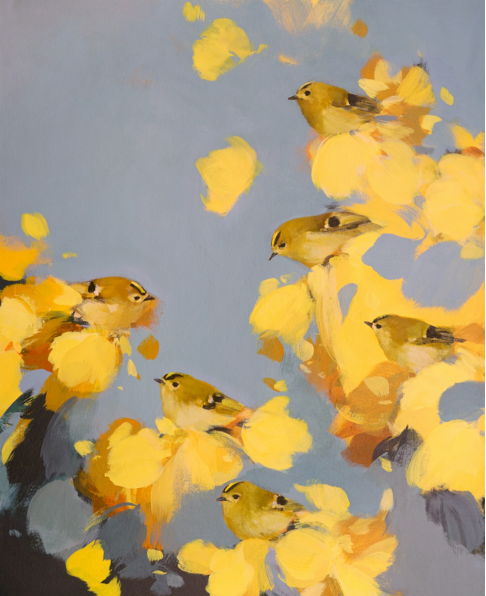 Goldcrests in Yellow and Grey