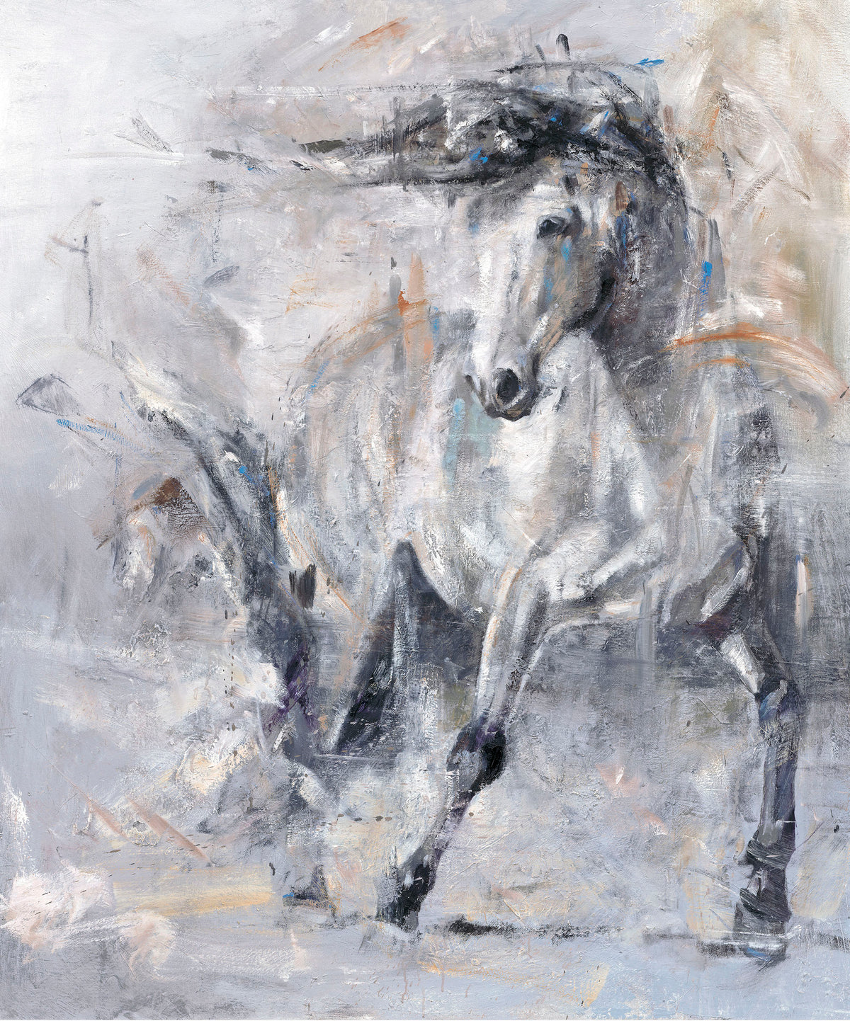 Capturing the graceful nature of this grey horse as it turns to take a stance.