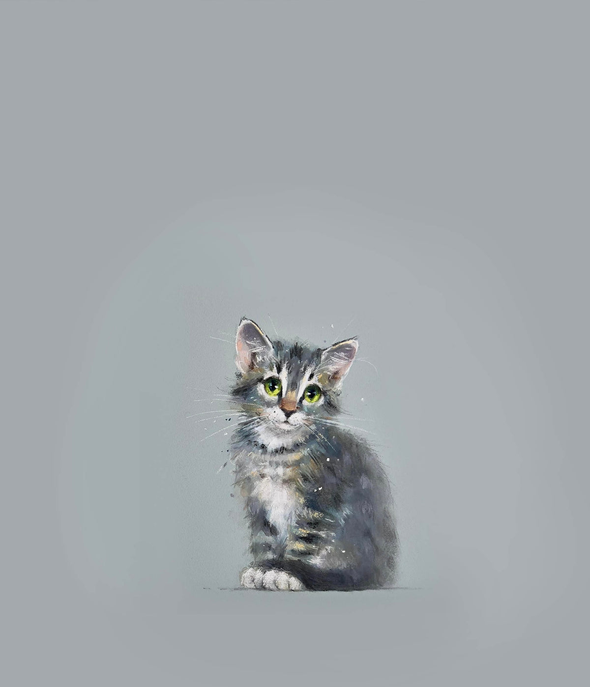 Kitten by Nicky Litchfield - an adorable portrait of a kitten to make you melt