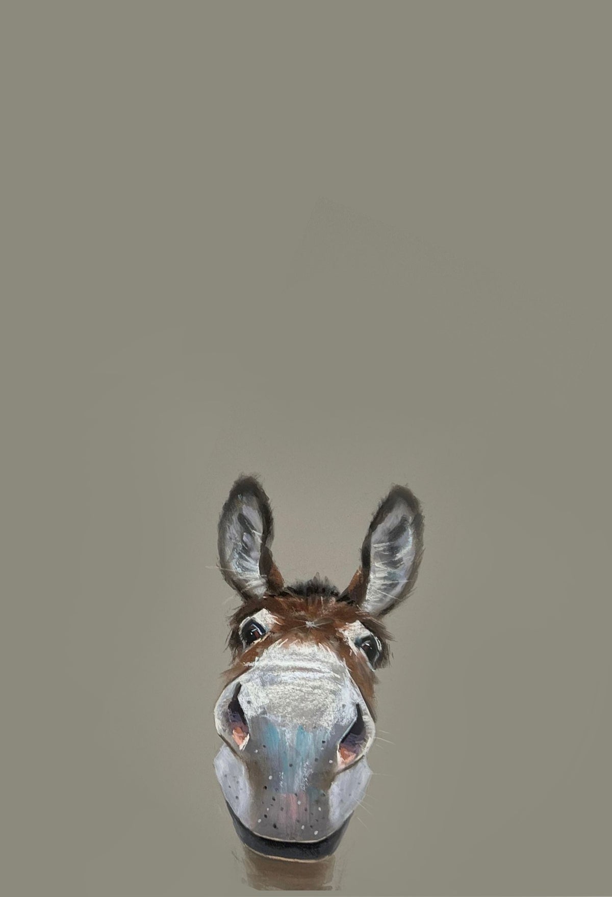 Nice To Meet You by Nicky Litchfield - a portrait of a loveable greeting donkey