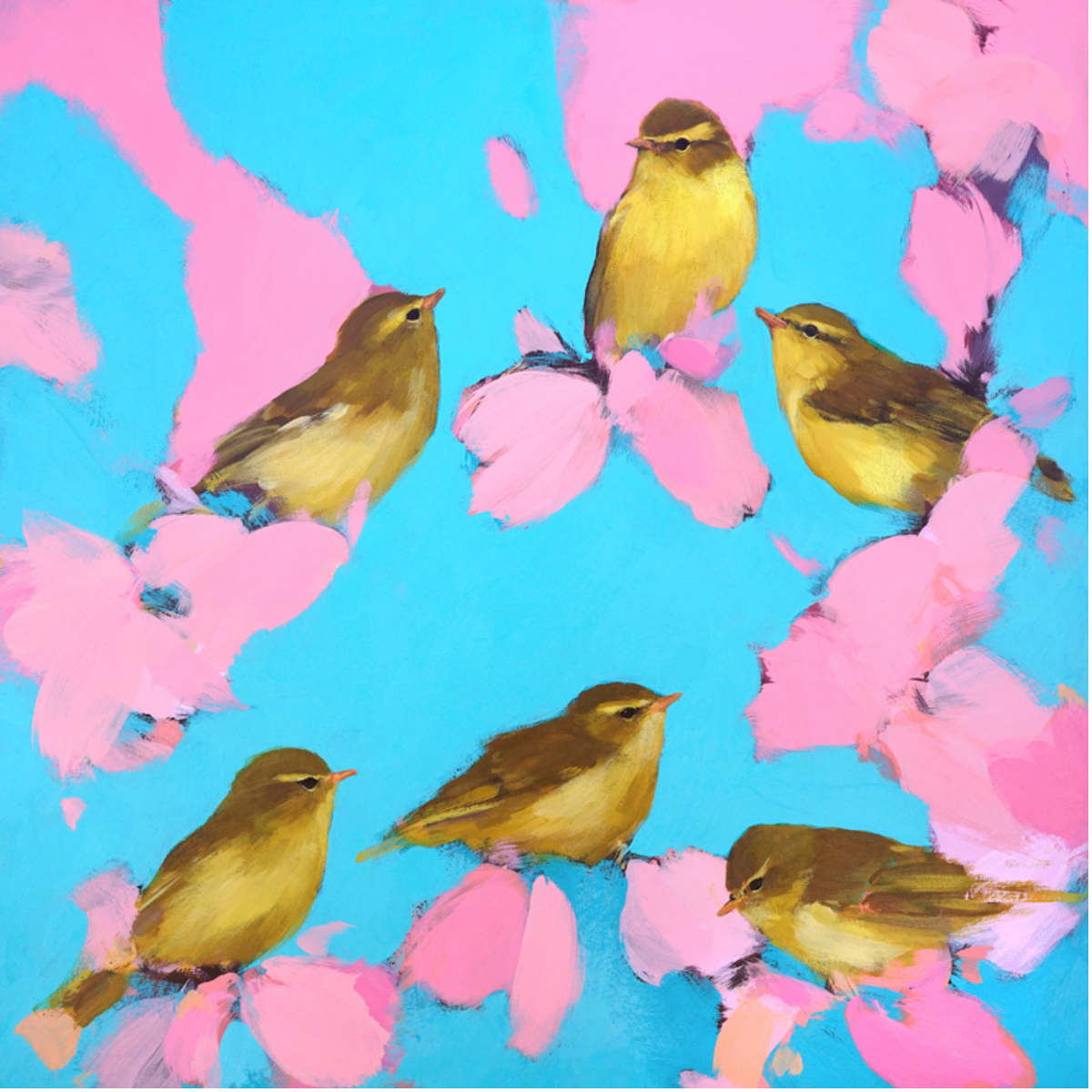 Warblers in Pink and Blue